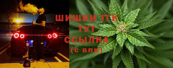 спиды Майский