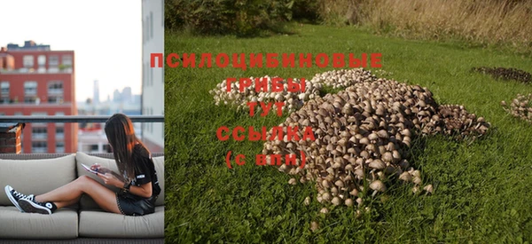 сатива Алексеевка