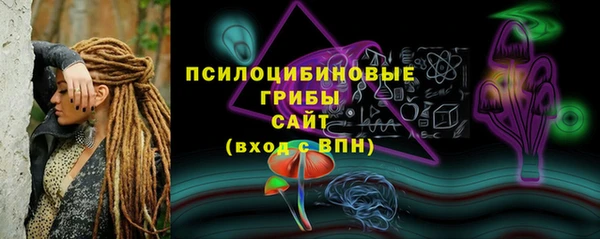 стафф Абинск