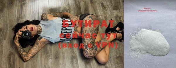 прущие грибы Магас