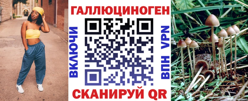 сайты даркнета как зайти  Орск  Галлюциногенные грибы MAGIC MUSHROOMS  mega ССЫЛКА 